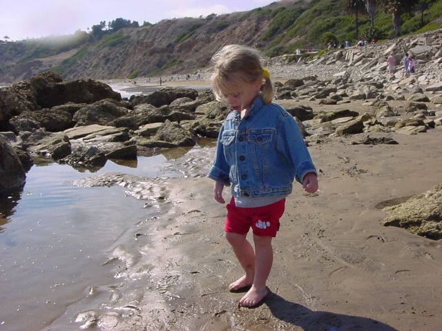 Chloé tide pools